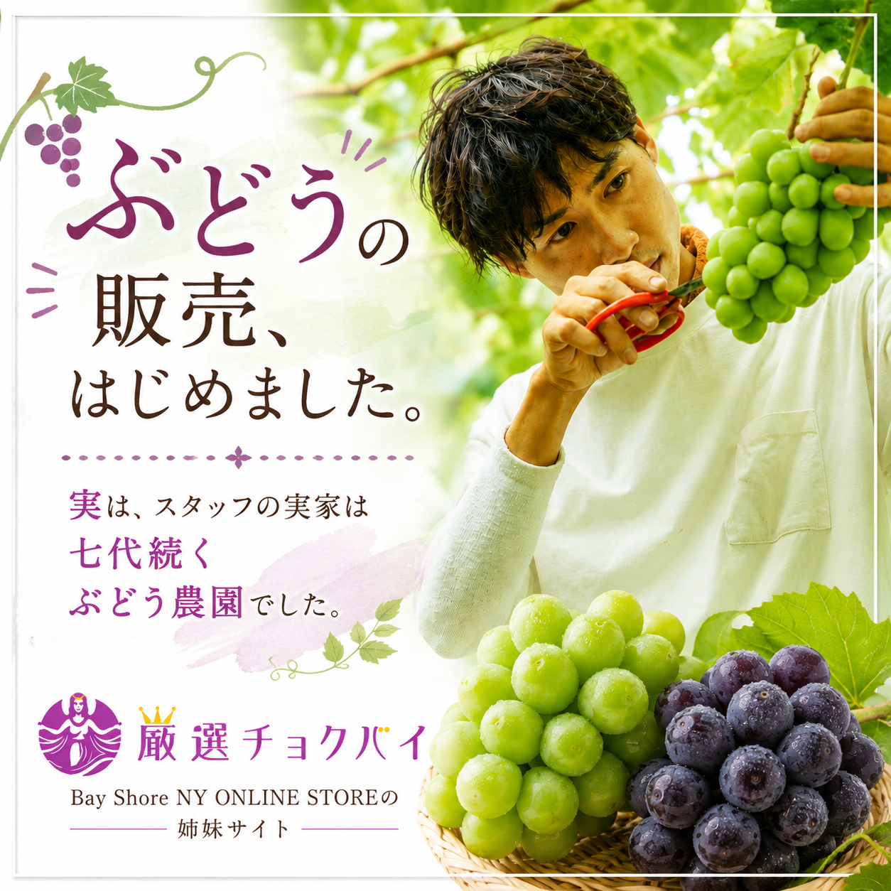 厳選チョクバイバナー