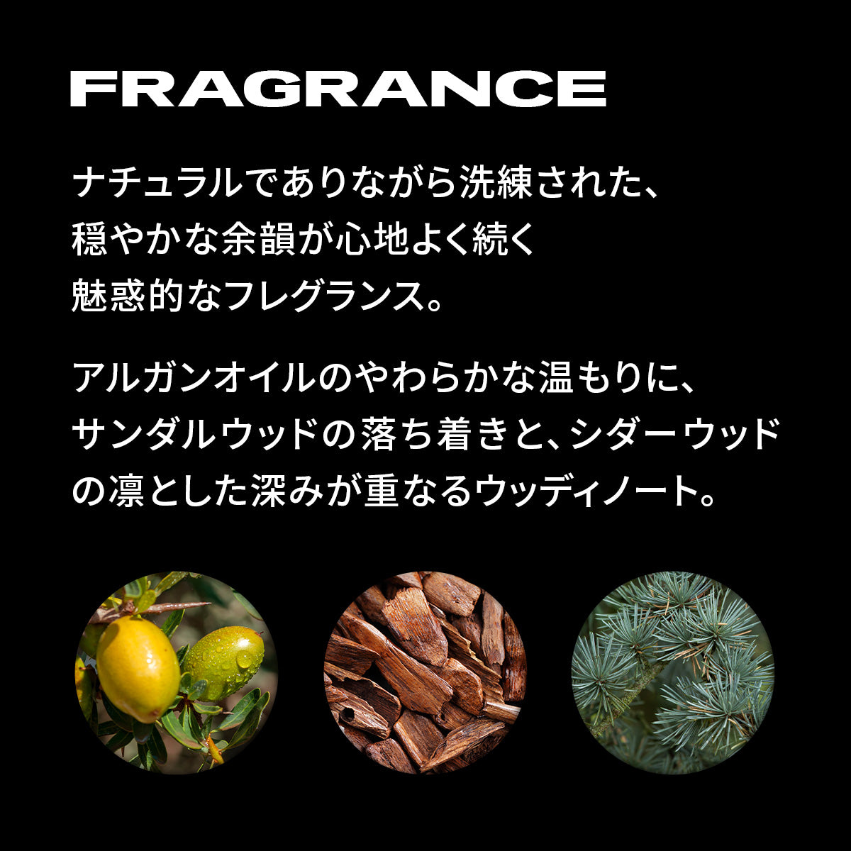 セバスティアン香りの紹介画像