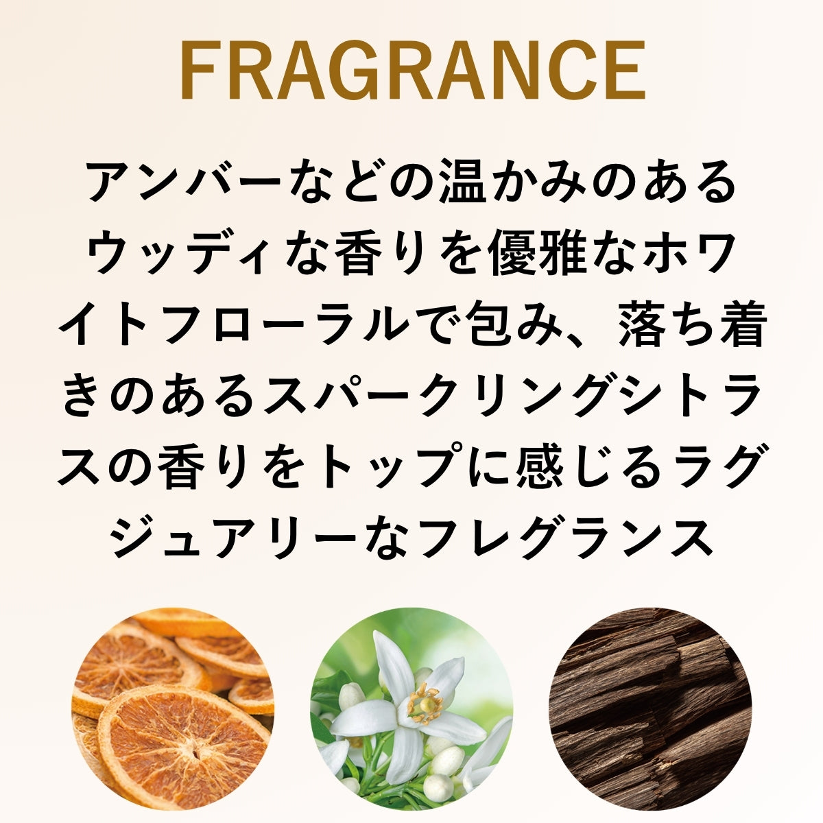アルタイム スムース シャンプーの香りの説明画像