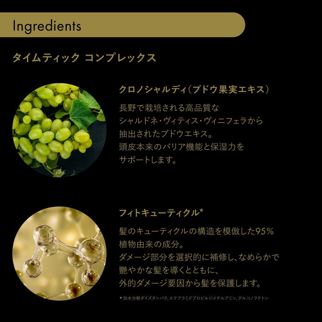 サブリミックタイムティックシリーズの紹介4