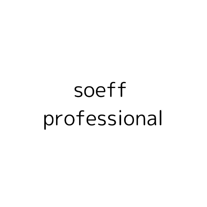 soeff professionalロゴ